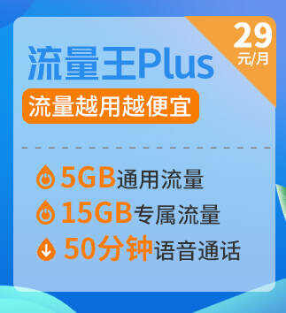 流量王Plus
